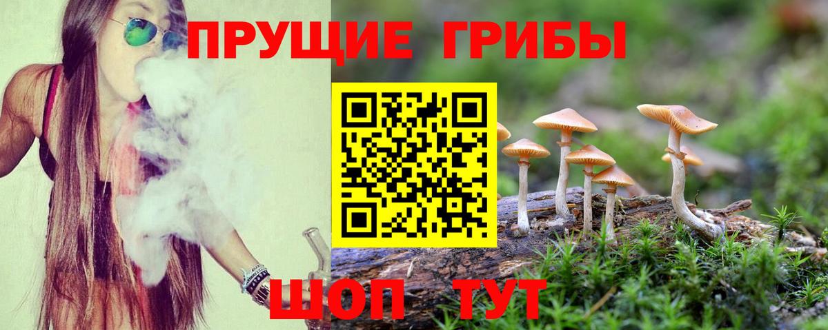 как найти   Галлюциногенные грибы Magic Shrooms  Ливны  Вход с VPN  Псилоцибиновые грибы Magic Shrooms 